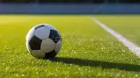 _周晓独家双色球攻略：精准锁定3颗红球，号码03、20、29助你2025年大奖在望！_