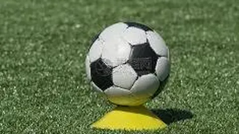 【西桅揭秘】2025139期双色球蓝球绝密三选：01、04、09，惊喜来袭，不容错过！