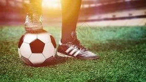 【海滨秘境】2026017期3D号码大揭秘：海滨精选胆码，每日精准预测来袭！