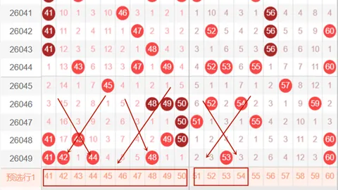 李照黑大乐透26048期走势图及专家推荐